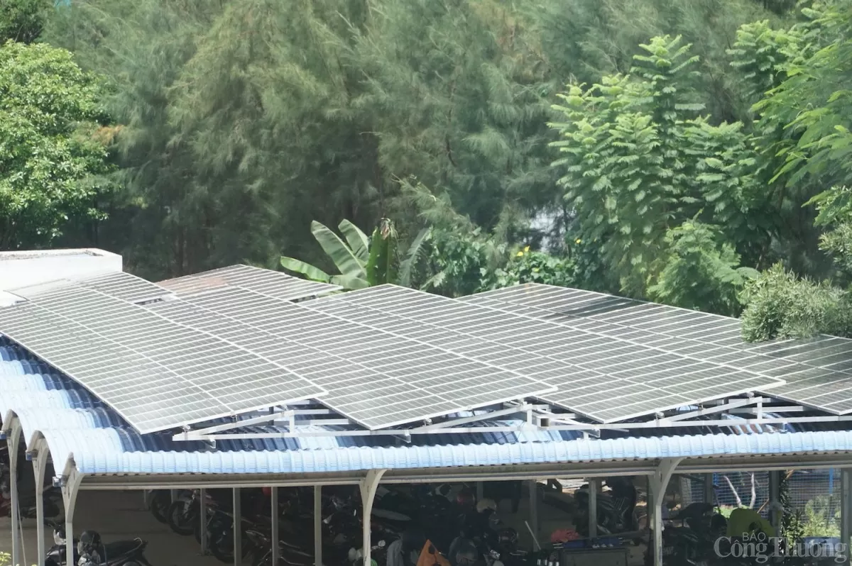 Gặp người kéo dài vòng đời tấm pin năng lượng mặt trời