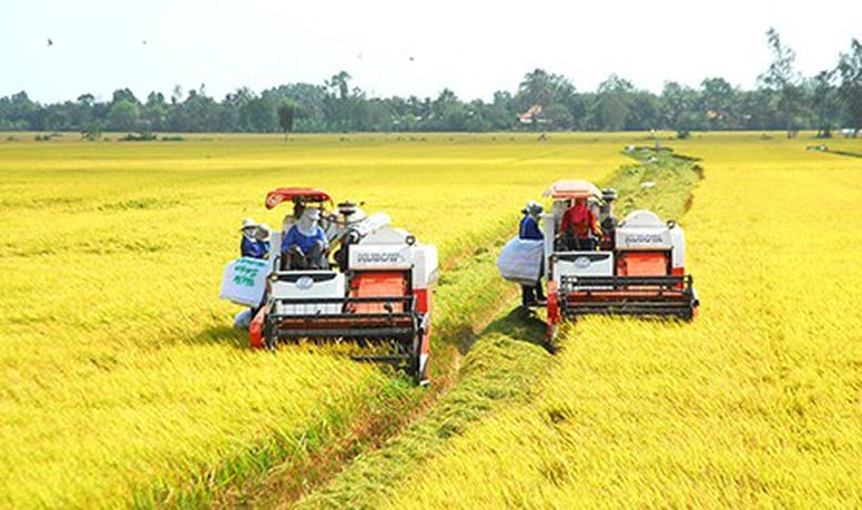 Phát triển bền vững và giảm phát thải trong sản xuất lúa gạo- Ảnh 1.