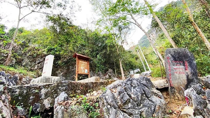 “Kìa bóng Bác đang hôn lên hòn đất”