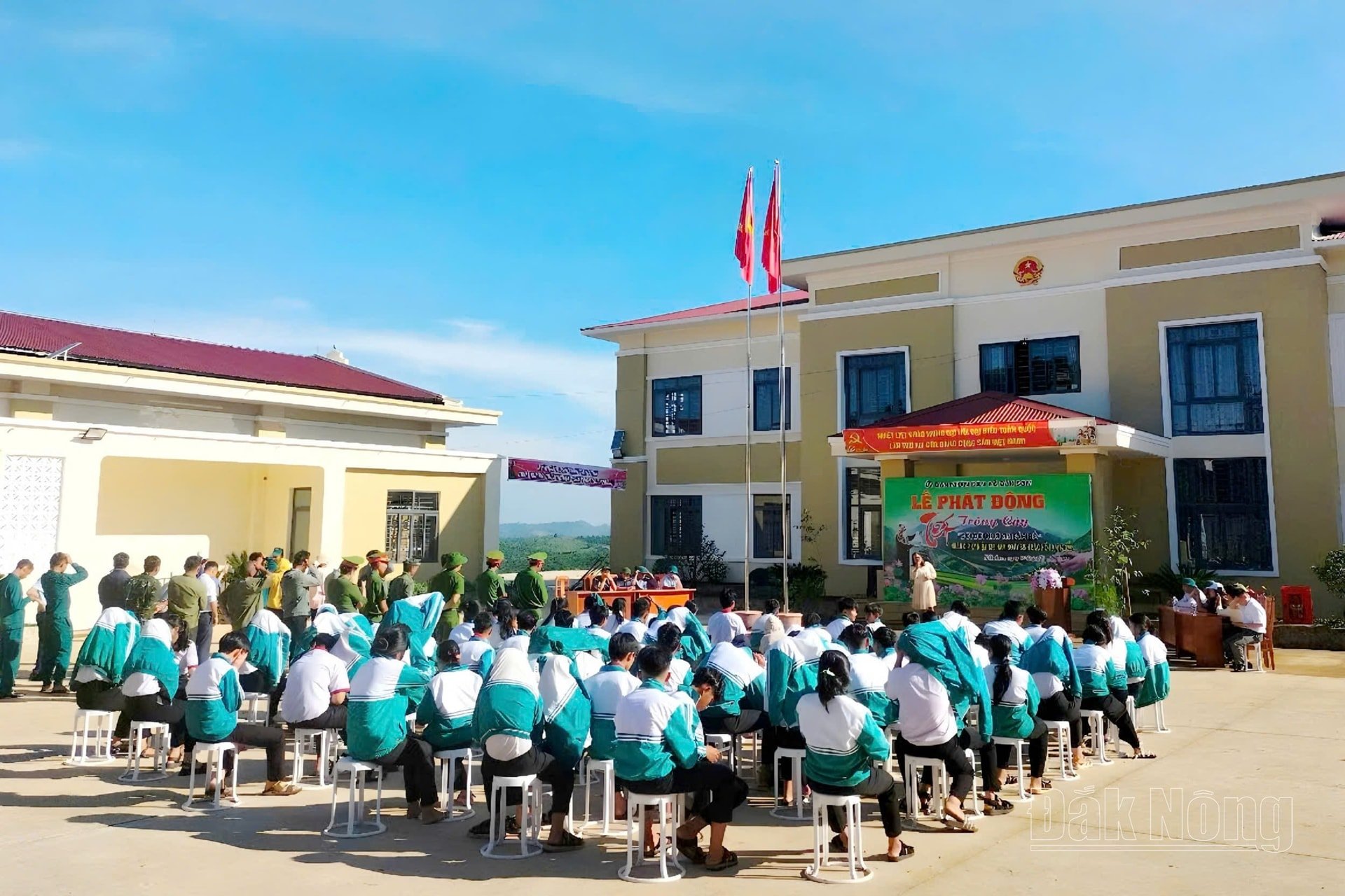 Trồng cây 4