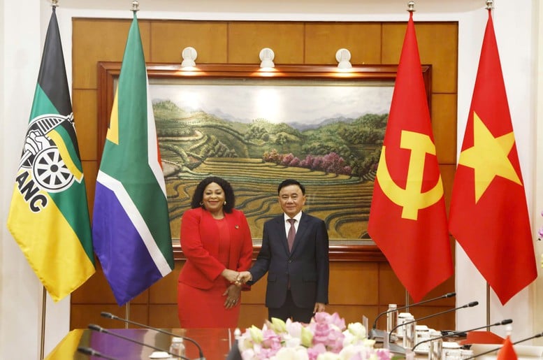 Thường trực Ban Bí thư Trần Cẩm Tú hội đàm với Phó Tổng Thư ký thứ nhất Đảng ANC, Nam Phi- Ảnh 1.