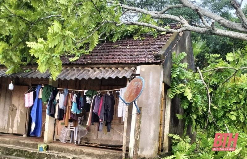 ឆ្លើយតបយ៉ាងសកម្មចំពោះព្យុះផ្គររន្ទះ និងគ្រោះធម្មជាតិផ្សេងៗ