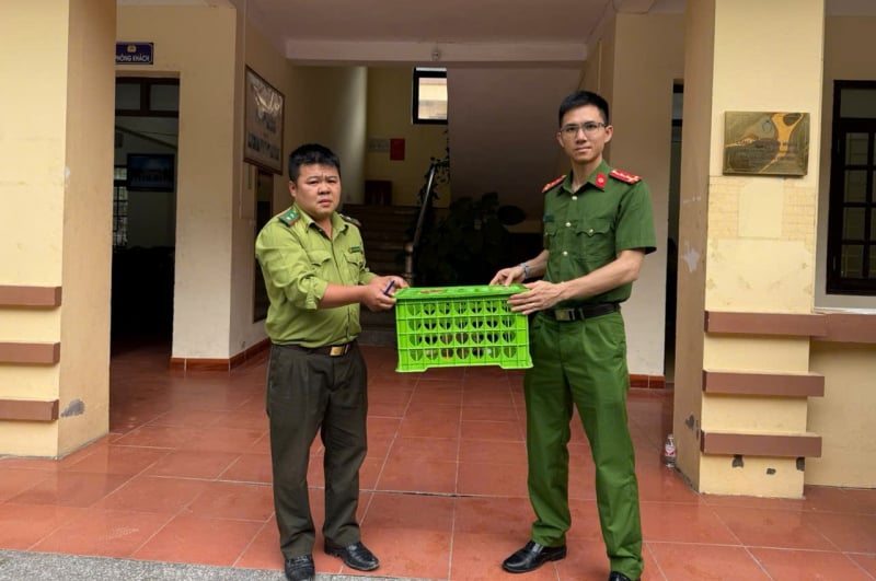 ảnh 3. công an xã tân thanh bàn giao cá thể cu li cho kiểm lâm huyện văn lãng theo quy định.jpg -1