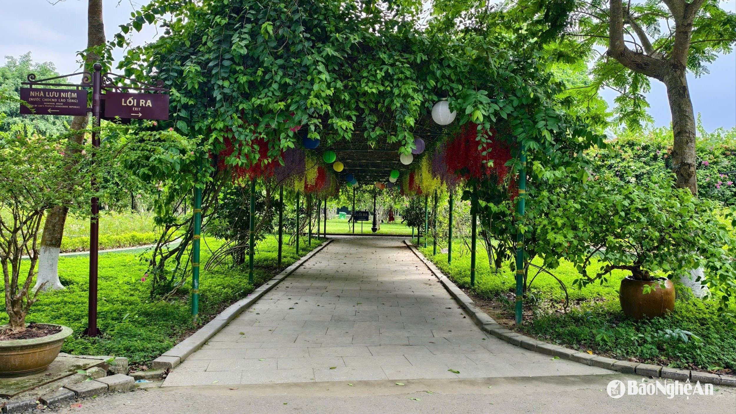 cham-soc-khu-di-tich-kim-lien-anh-diep-thanh00004.jpg