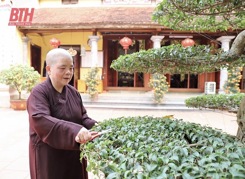Ni trưởng Thích Đàm Hòa - gương sáng tốt đời, đẹp đạo