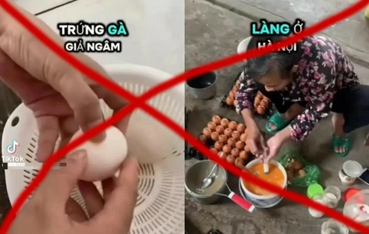Thông tin trứng gà giả trên mạng xã hội chỉ là tin đồn thất thiệt. Ảnh: Minh họa