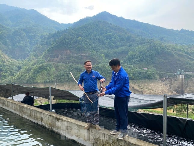 Chuyện về Thào A Lo - chàng trai khơi nguồn khát vọng thoát nghèo trên 'sống lưng khủng long' ảnh 5