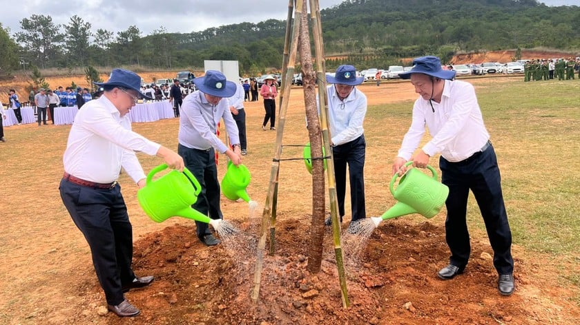 Lãnh đạo tỉnh Lâm Đồng trồng cây xanh ngay sau Lễ phát động.