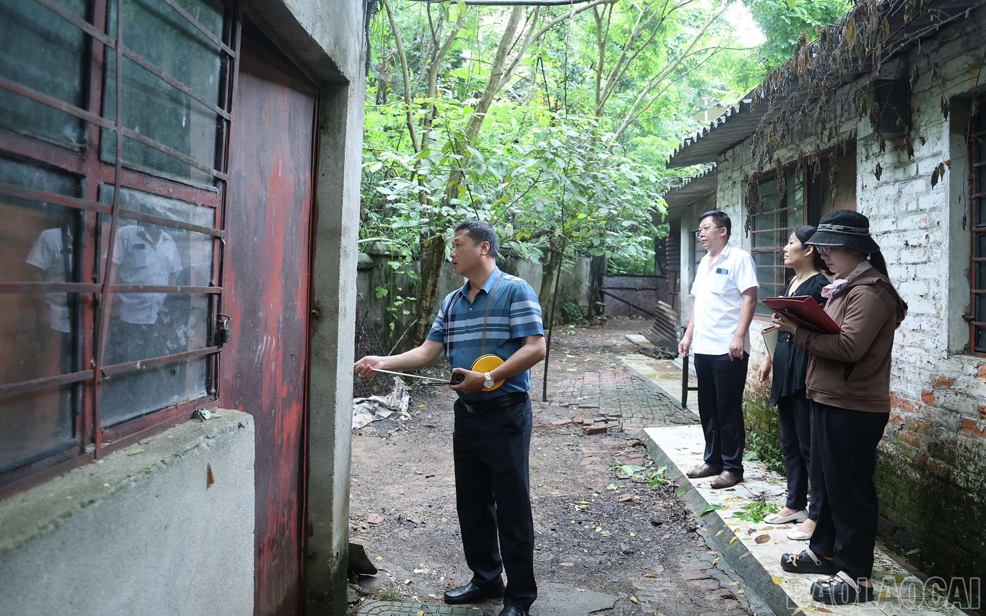 baolaocai-br_img-8893.jpg