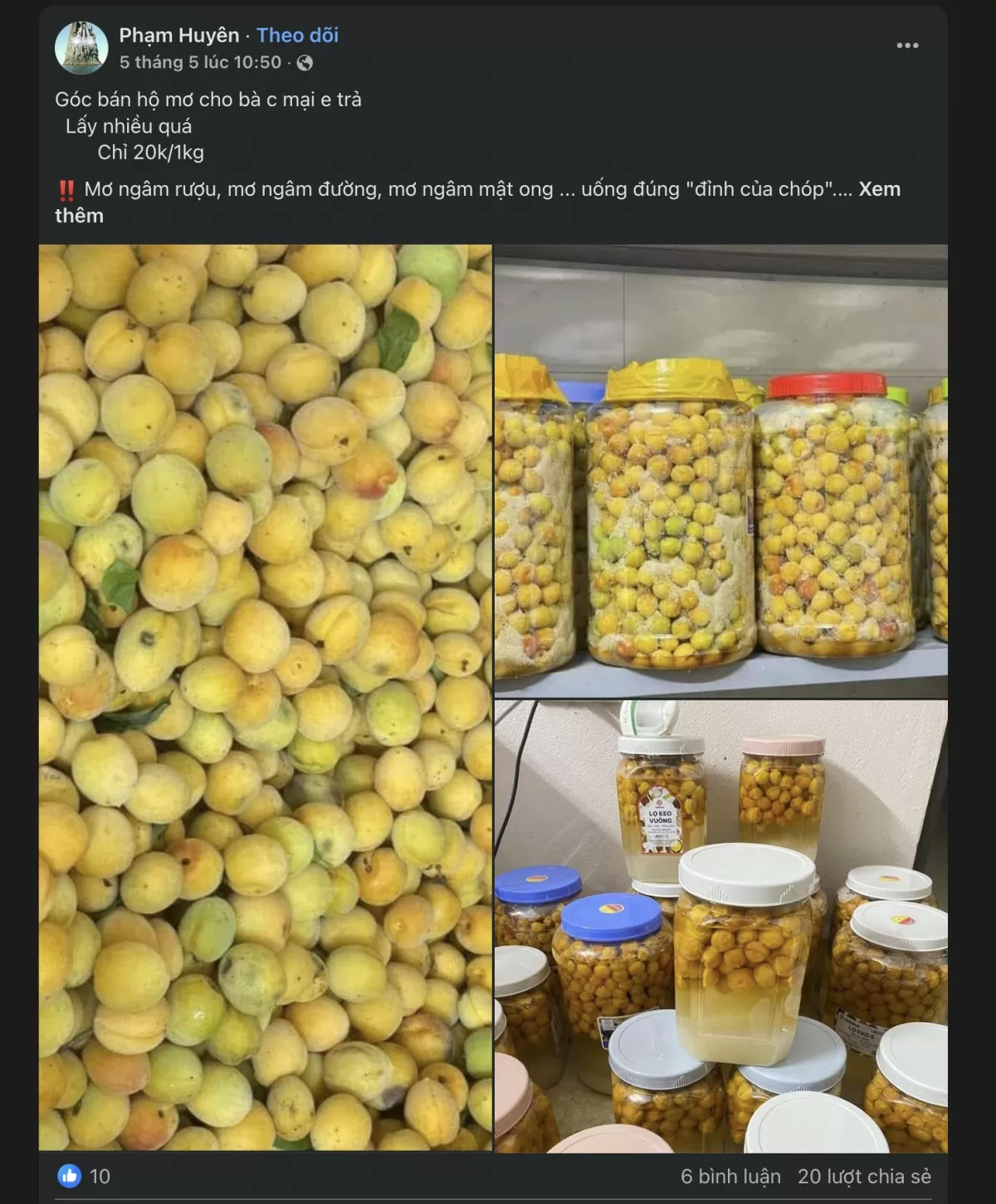 Mơ vàng ngập chợ, người tiêu dùng Hà Nội 'săn đón'