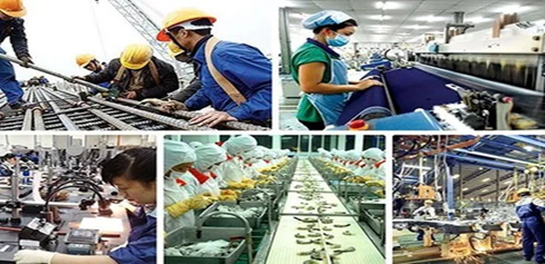 Kế hoạch hành động của Chính phủ về phát triển kinh tế tư nhân- Ảnh 1.
