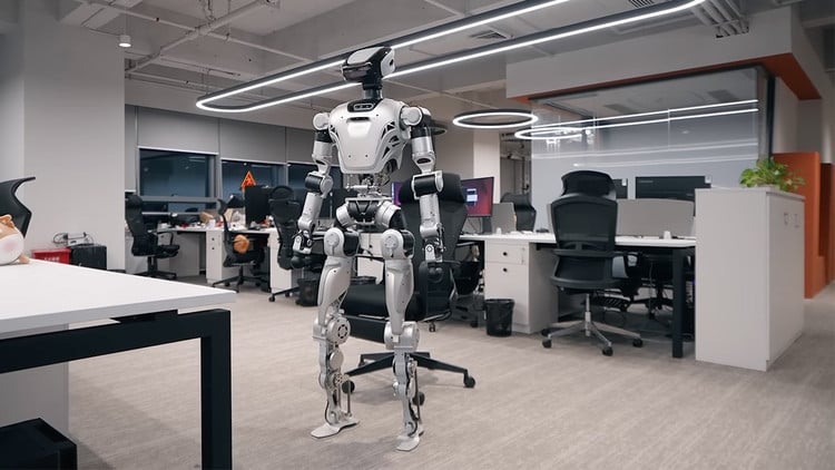 bot-4.png