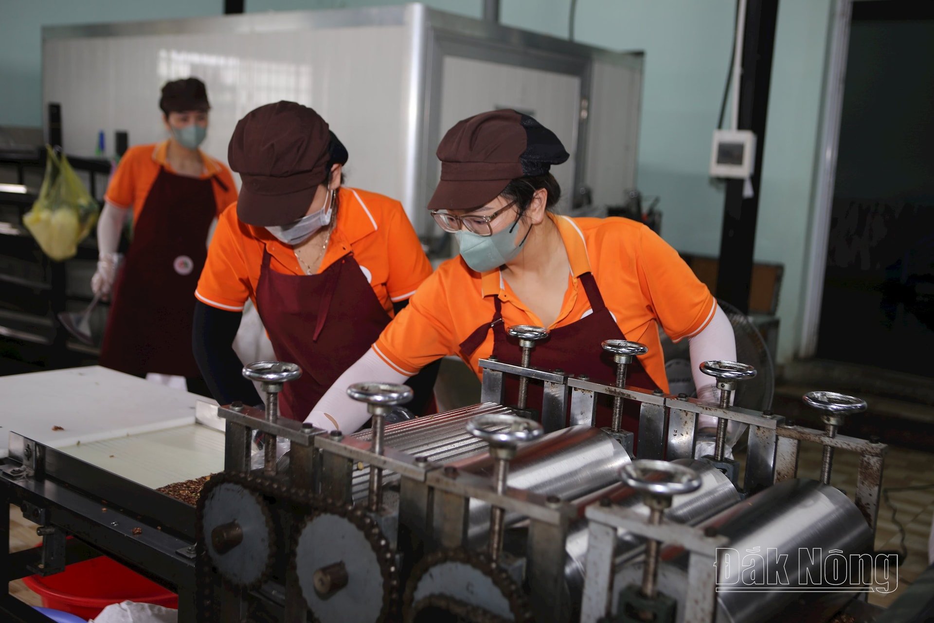 Liên kết sẽ giúp tận dụng những lợi thế của các doanh nghiệp để sản xuất ra số lượng hàng hóa lớn, đáp ứng cho những hợp đồng lớn