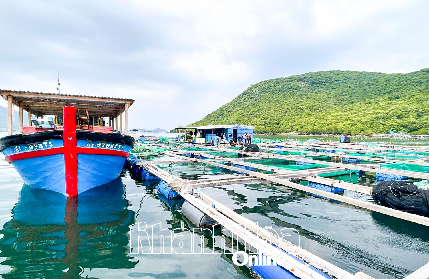 Une ferme d'élevage de homards en cage dans la baie de Van Phong.