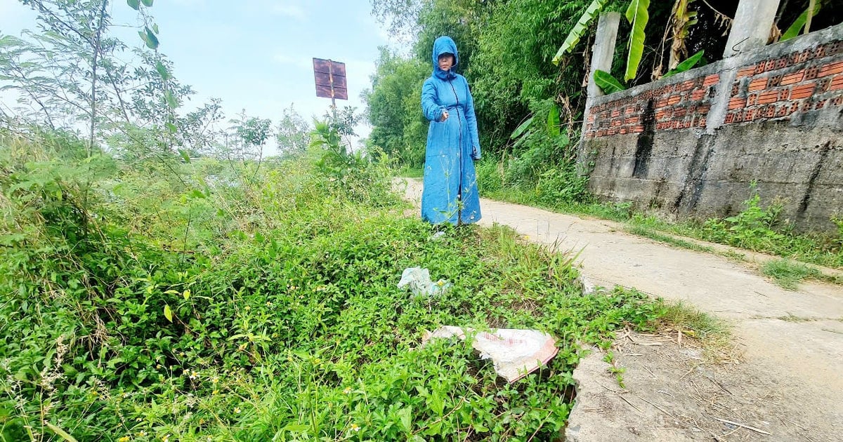 Reinforced embankment of Quang Hue river needs early solution to prevent landslides