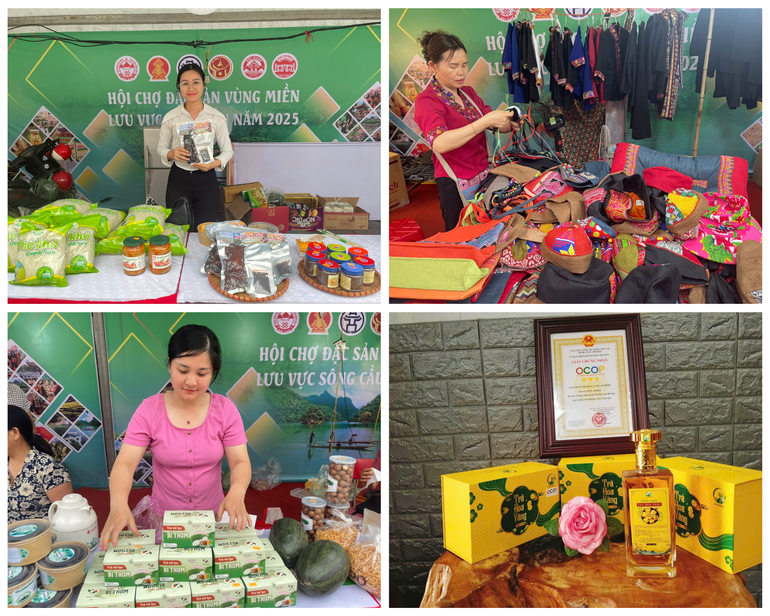 xanh-duong-va-mau-kem-ke-hoach-du-lichky-nghi-anh-ghep.png