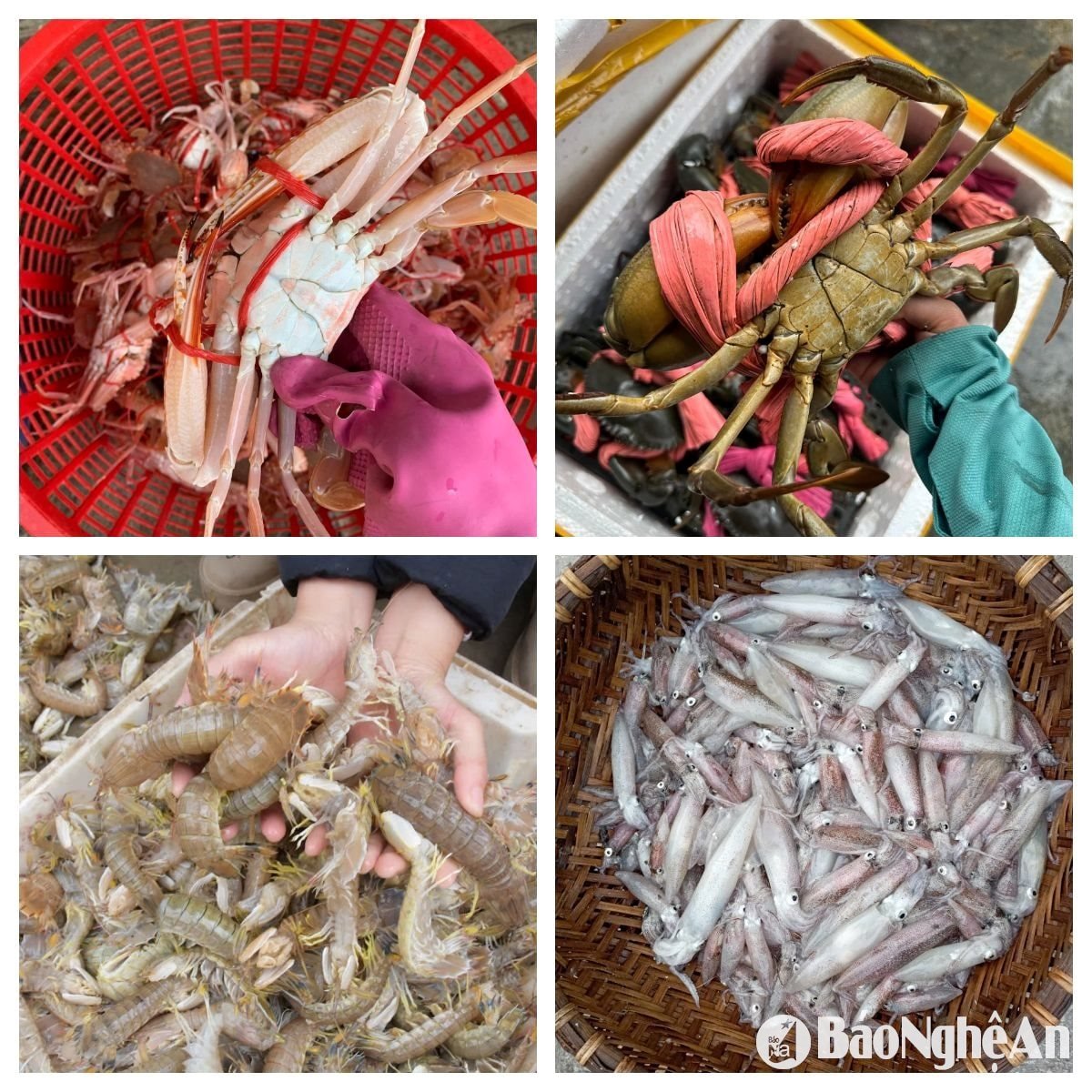 морепродукты