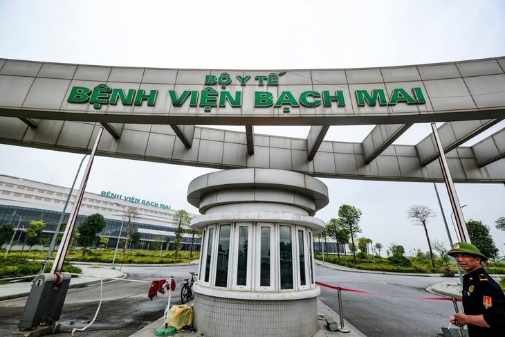 bạch mai - Ảnh 1.