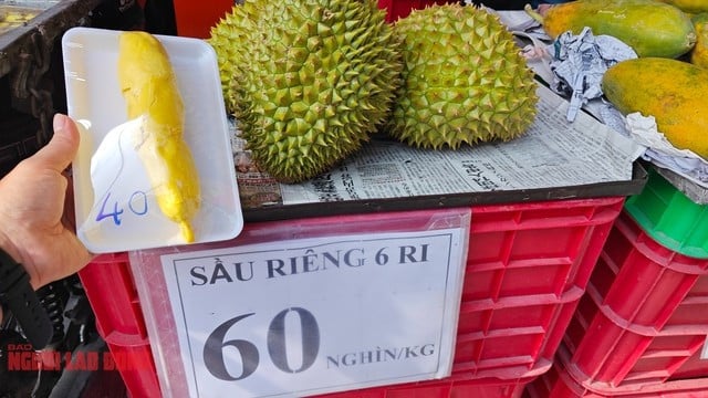 Giá sầu riêng &quot;loạn&quot;