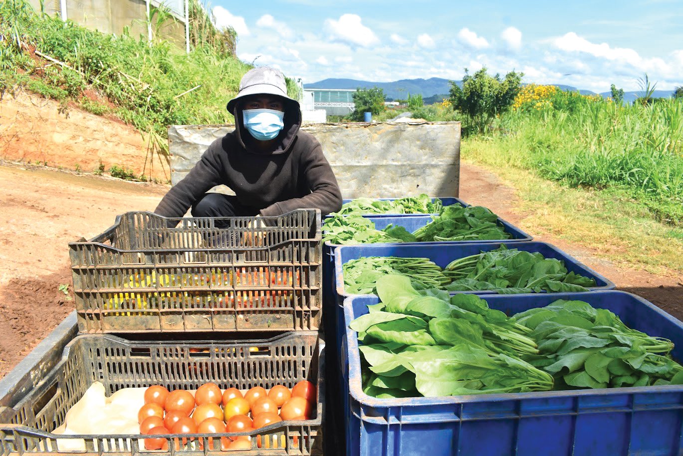 Trang trại nông nghiệp xanh sau 17 năm hoàn chỉnh quy trình tại xã Ka Đơn, huyện Đơn Dương