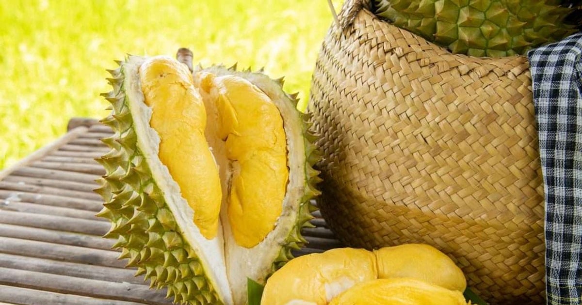 Giá sầu riêng hôm nay 2/5: Sầu Thái tăng nhẹ trở lại