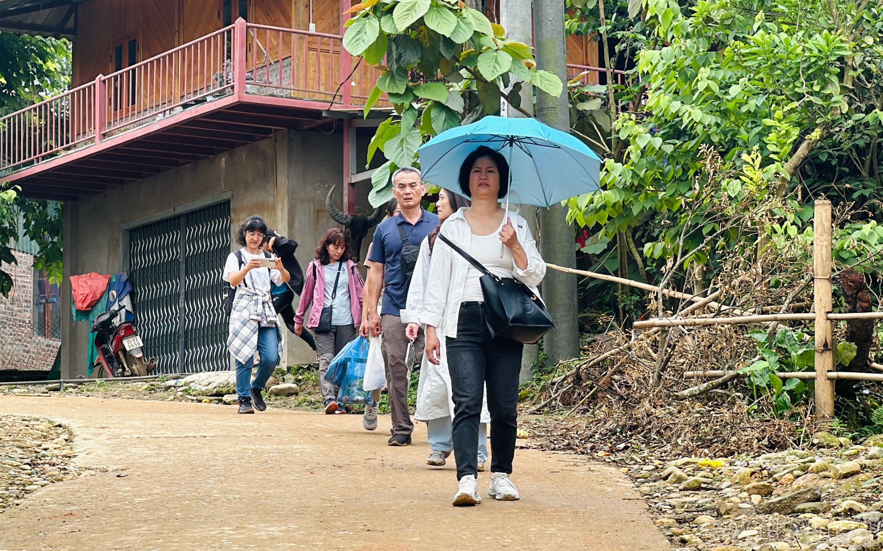 baolaocai-br_img-7411.jpg