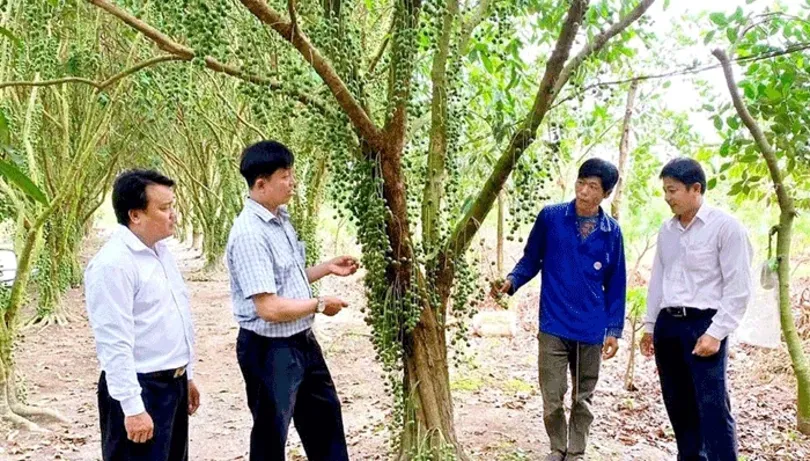 កៀរគរដើមទុនកម្ចី ដើម្បីបំពេញតម្រូវការផលិតកម្ម និងការអភិវឌ្ឍន៍អាជីវកម្ម