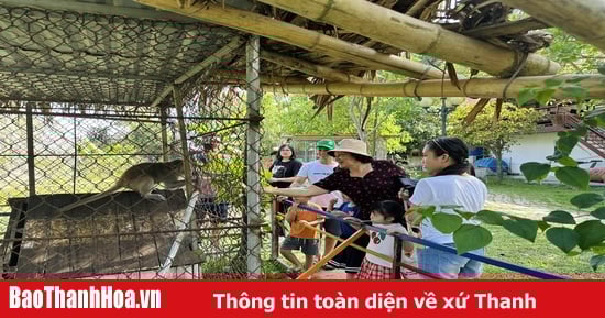 Người dân tận hưởng kỳ nghỉ xanh ngay trong thành phố