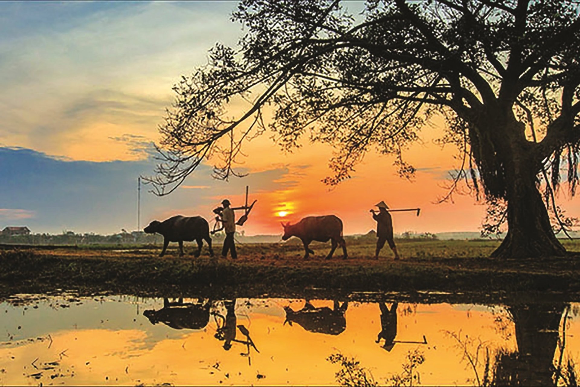 ភូមិ-4.jpg