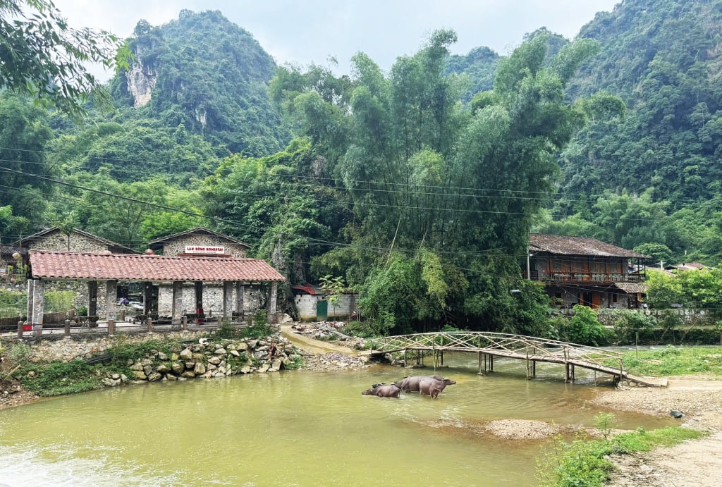 Làng đá Khuổi Ky, xã Đàm Thủy (Trùng Khánh) với các homestay được đầu tư bài bản, có không gian phù hợp phát triển du lịch kết hợp với làm việc.