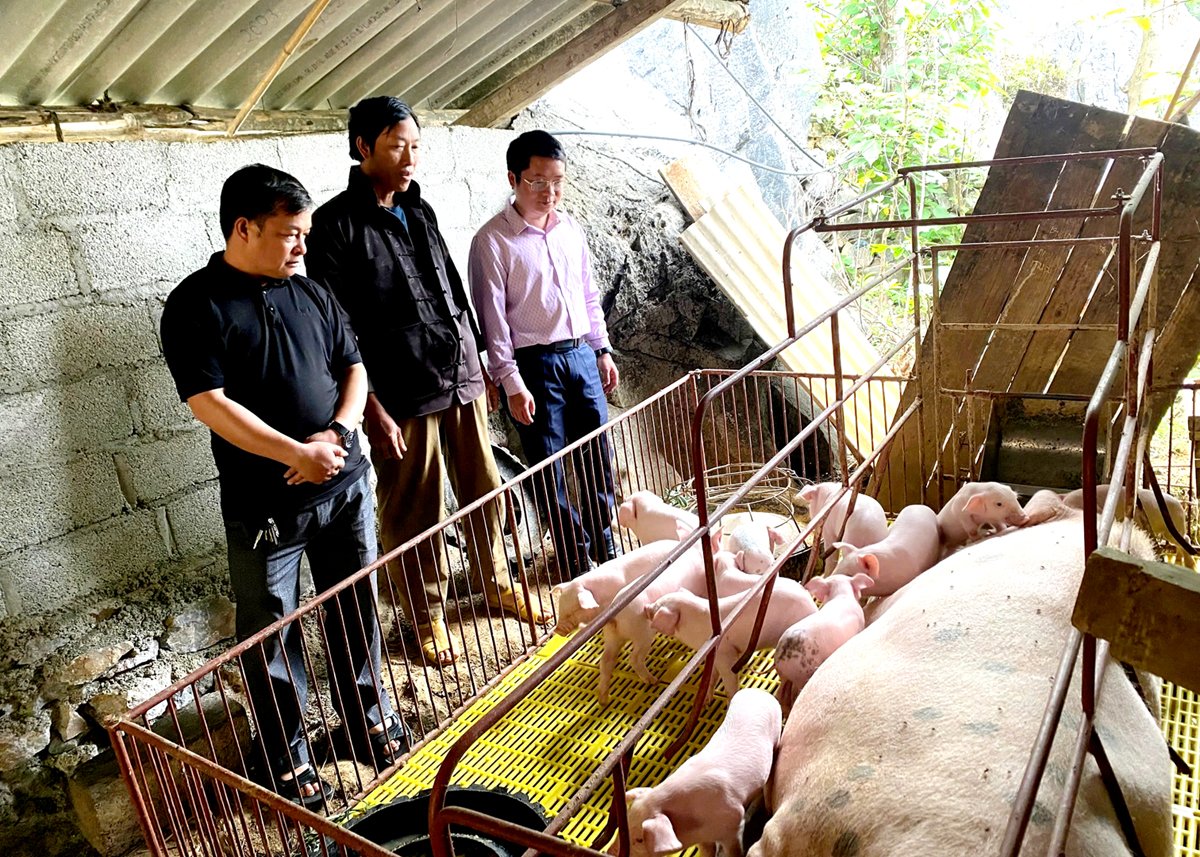 ផ្តោតលើការកាត់បន្ថយភាពក្រីក្រ ឈានចូលយុគសម័យថ្មីយ៉ាងរឹងមាំ៖ វគ្គចុងក្រោយ - បំផុសឆន្ទៈ និងសេចក្តីប្រាថ្នាដើម្បីគេចចេញពីភាពក្រីក្រ