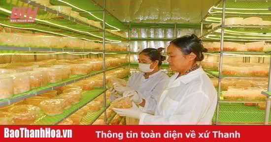التنمية الزراعية المرتبطة بالتحول الأخضر