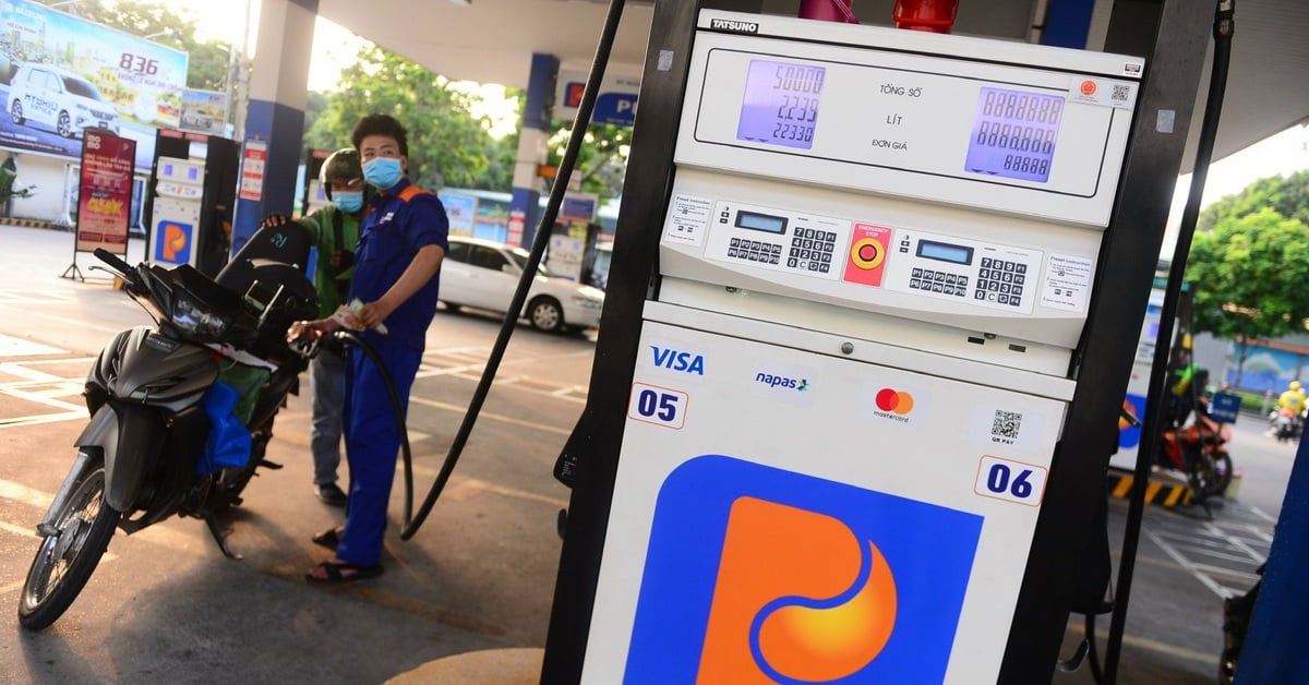 Lợi nhuận Petrolimex lao dốc, đang có gần 28.000 tỉ gửi ngân hàng, 'rót' vào trái phiếu