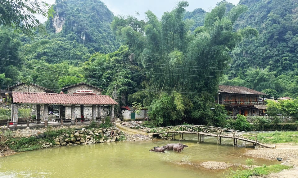 Trend of combining travel and work - Cao Bang Electronic Newspaper