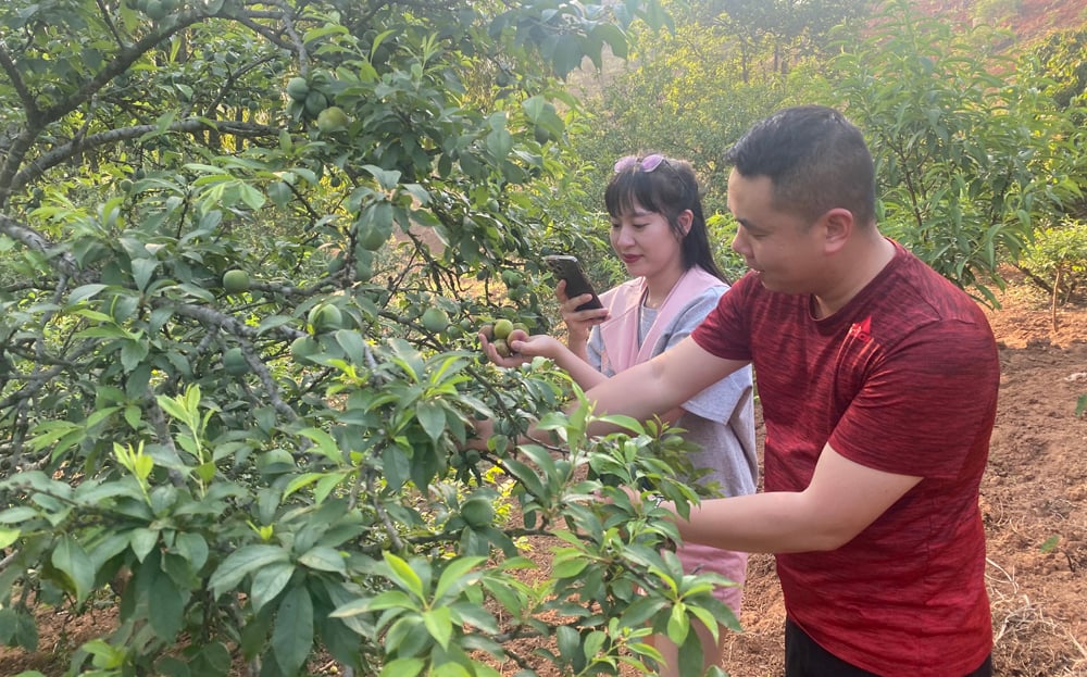“Hút” khách dịp nghỉ lễ