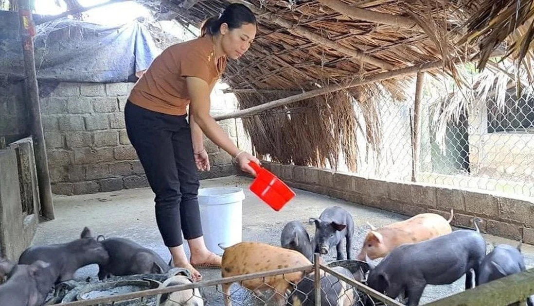 Van Ban: Focus on promoting poverty reduction work