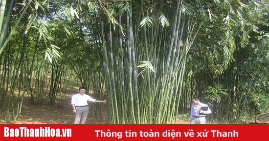 Huy động nguồn lực xây dựng nông thôn mới ở vùng cao Quan Sơn