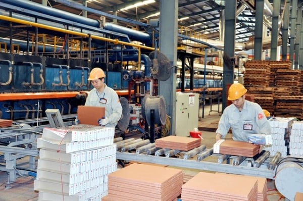 Kinh tế tư nhân Việt Nam có giá trị nhân văn cao cả