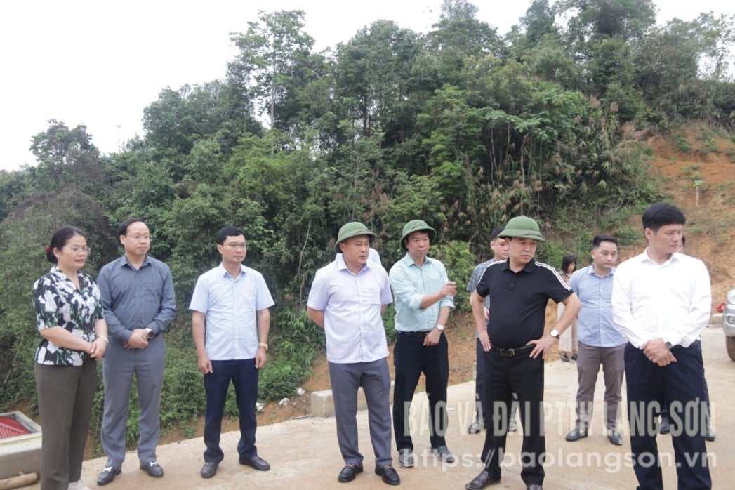 ក្រុមការងារបានចុះពិនិត្យការងារធារាសាស្ត្រជាក់ស្តែងនៃគម្រោងសមាសភាគទី៣ នៅស្រុក Trang Dinh។