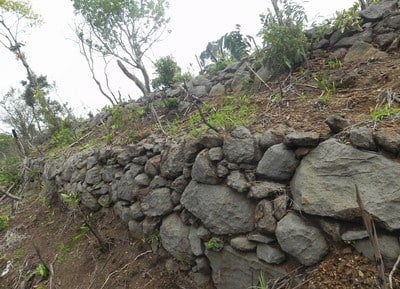 Cho phép khai quật khảo cổ tại 3 địa điểm thuộc di tích Trường Lũy Bình Định - ảnh 1