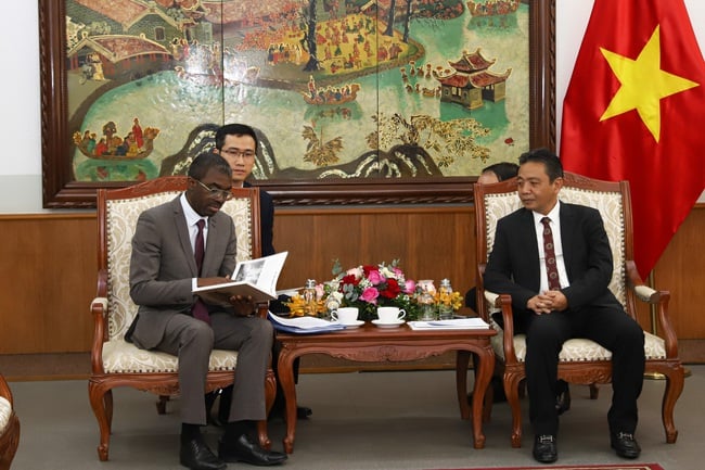 Thứ trưởng Hoàng Đạo Cương tiếp và làm việc với Giám đốc Trung tâm Di sản thế giới - Ảnh 1.