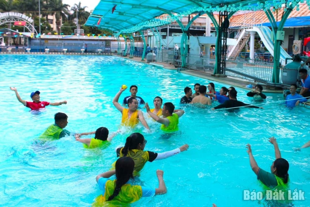Trò chơi bóng ném dưới nước.