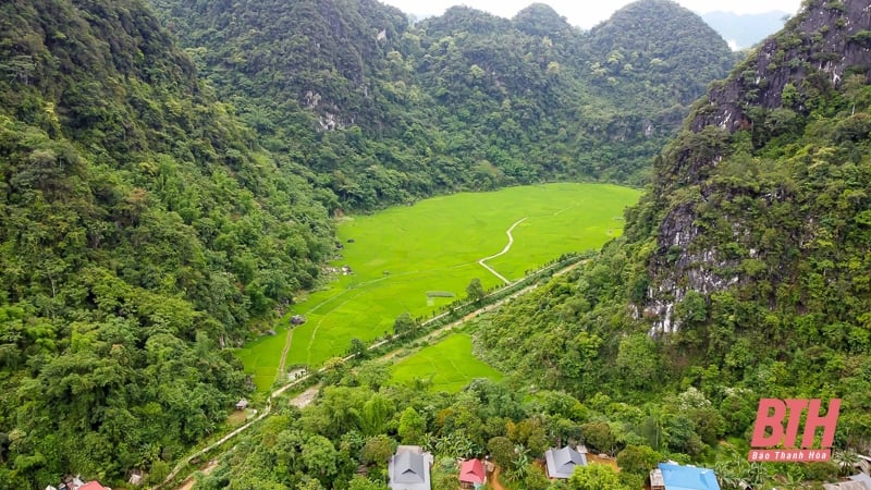 ស្នាដៃនៅកណ្តាលព្រៃ Pu Luong