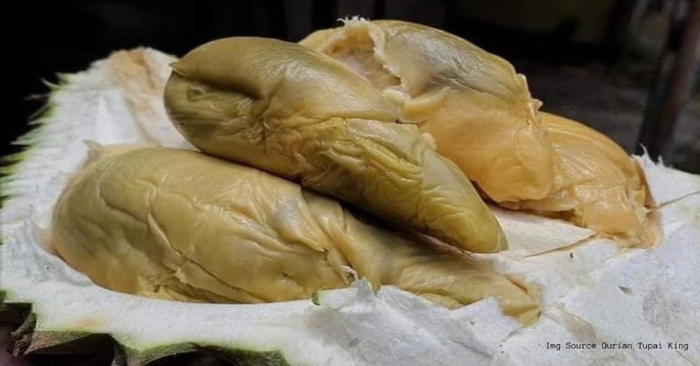 Sầu riêng nhìn như nhũn chảy nước mốc xanh, bán giá sốc 700.000 đồng/kg - 2