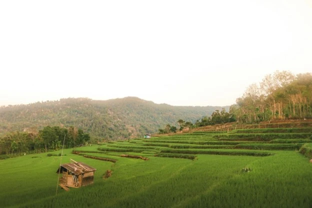 Nha Trang lọt top các điểm đến “du lịch chậm” hàng đầu châu Á ảnh 3