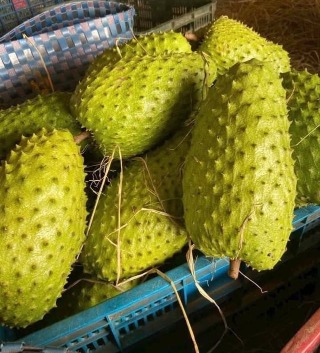 Đồ uống thanh nhiệt siêu hót được làm từ một loại quả chính vụ ngày hè bán đầy chợ Việt, chỉ từ 30.000 đồng/ly- Ảnh 4.