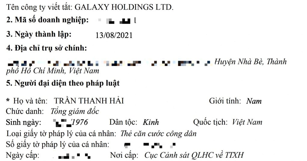 Lộ diện CEO tập đoàn công nghệ mới thành lập của tỷ phú Phương Thảo - 1