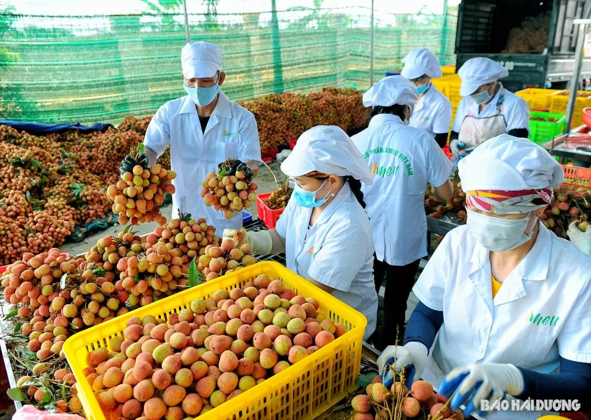 Tin Công Thương 20/5: Thị trường trong nước - 'phao' an toàn cho doanh nghiệp khi xuất khẩu gặp khó