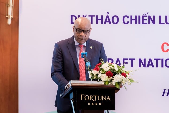 Ông Rémi Nono Womdim trưởng đại diện FAO tại Việt Nam phát biểu tại buổi tham vấn (Ảnh: Ngọc Sơn)