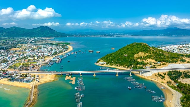 Món ngon Bình Định: Cá dìa nướng mọi - Ảnh 3.